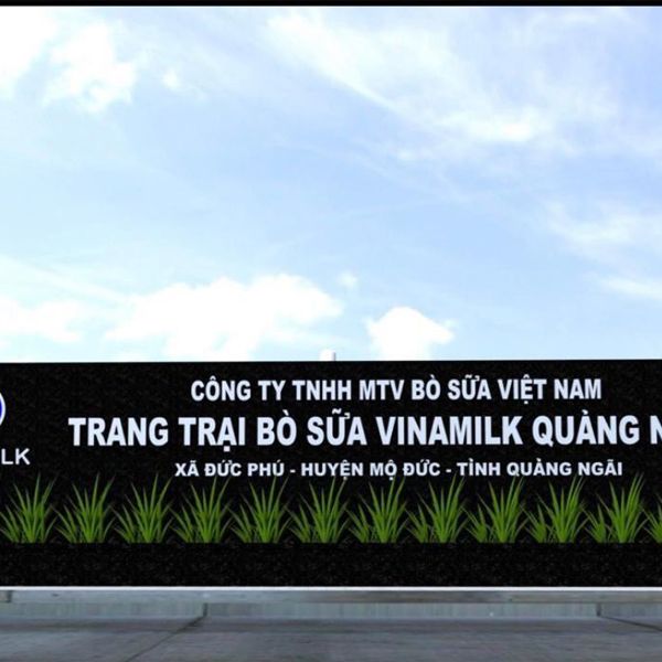 Trang trại bò sữa Vinamilk Quảng Ngãi
